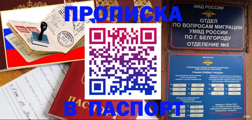 купить прописку в Козельске